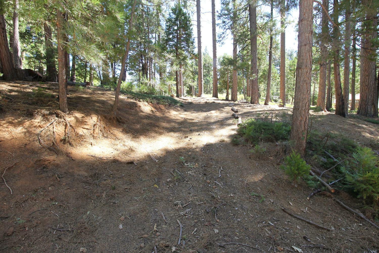 Property Photo:  2331 Sultana Road  CA 95223 