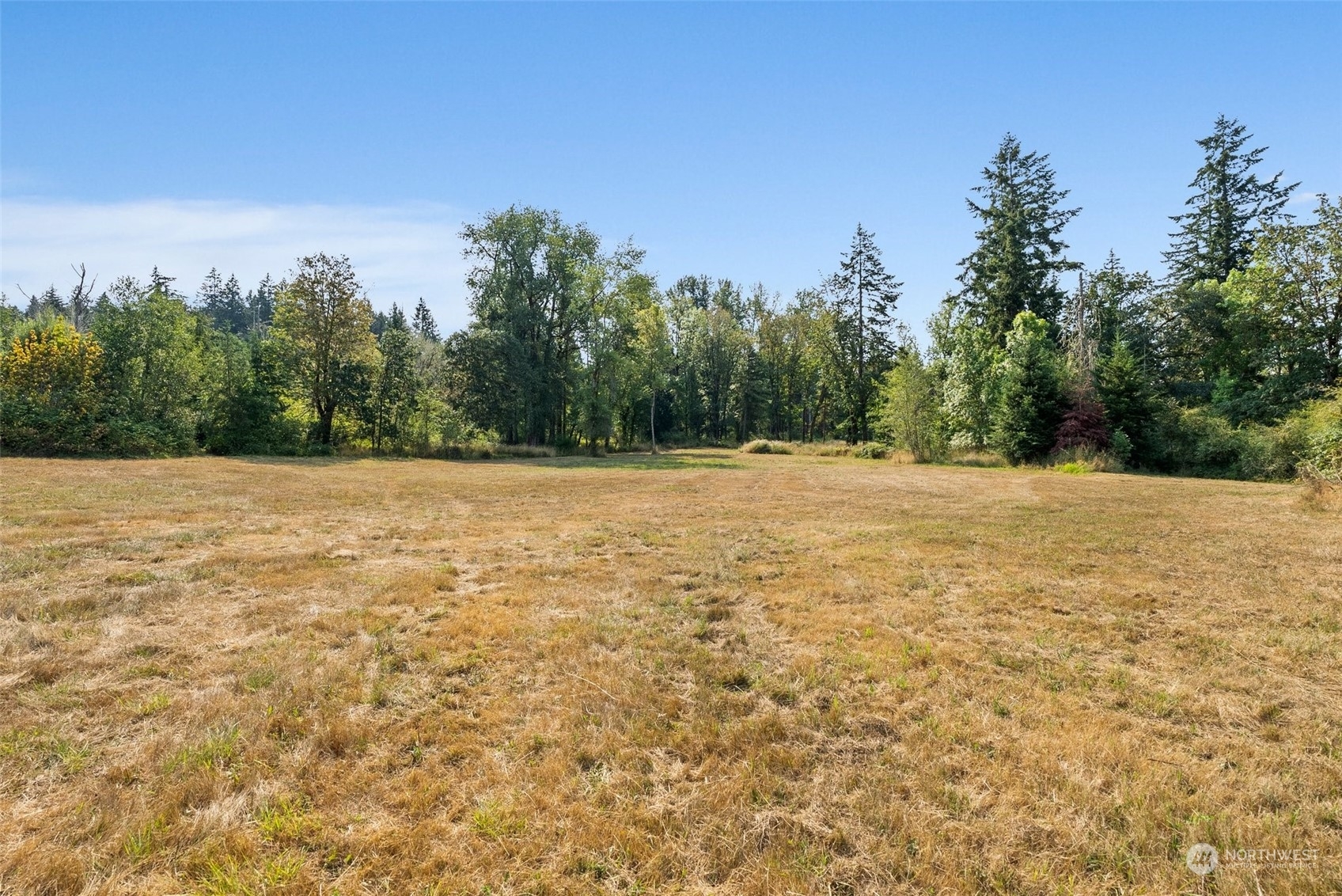 Property Photo:  7202 Waldrick Road SE  WA 98589 