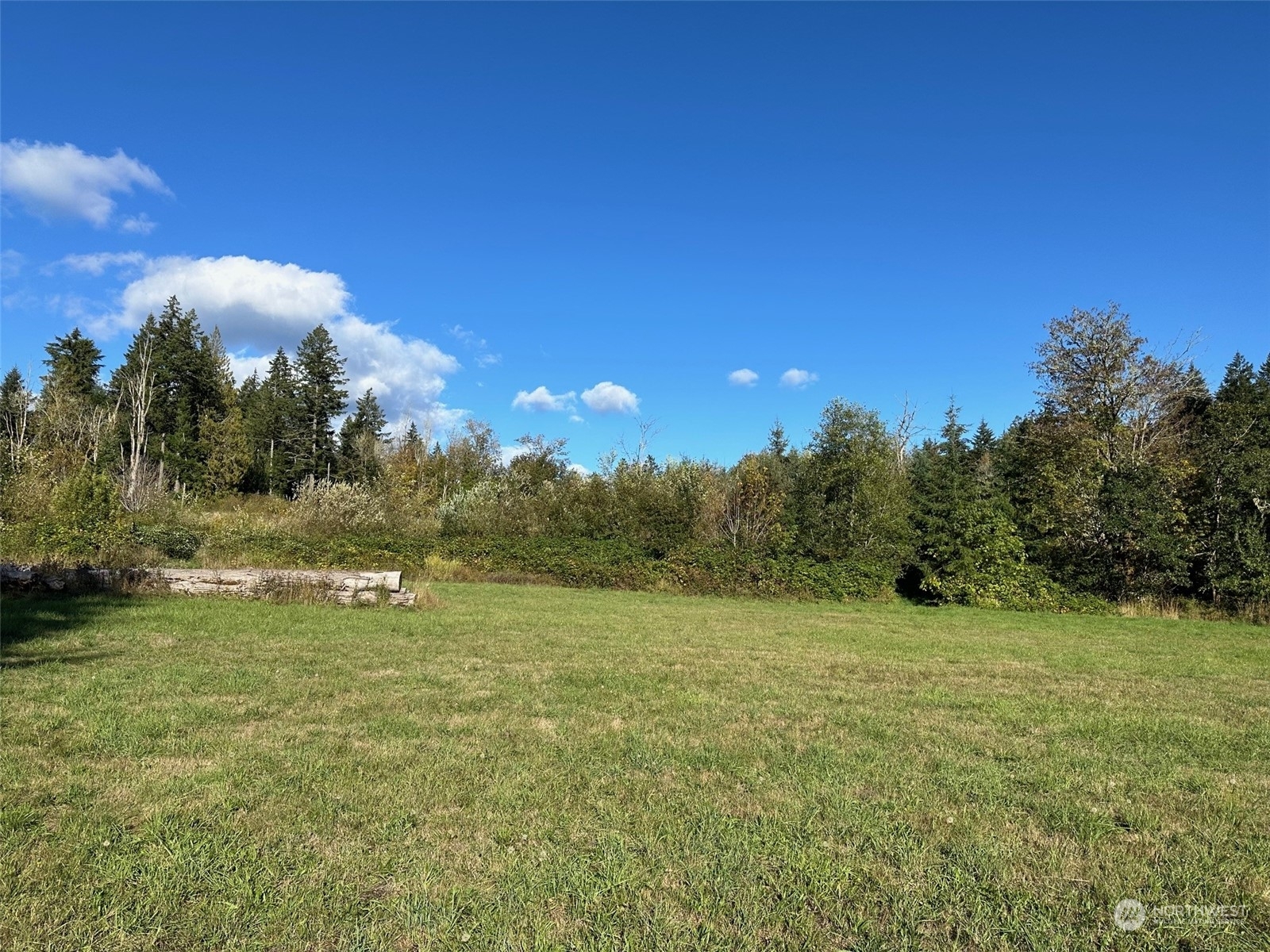 Property Photo:  7202 Waldrick Road SE  WA 98589 