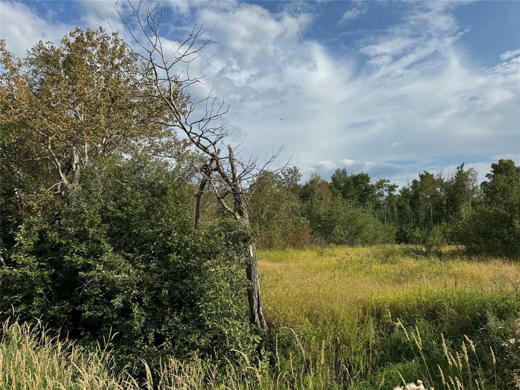 Photo de la propriété:  0 Mun 24 Road North  MB R0A 0W0 