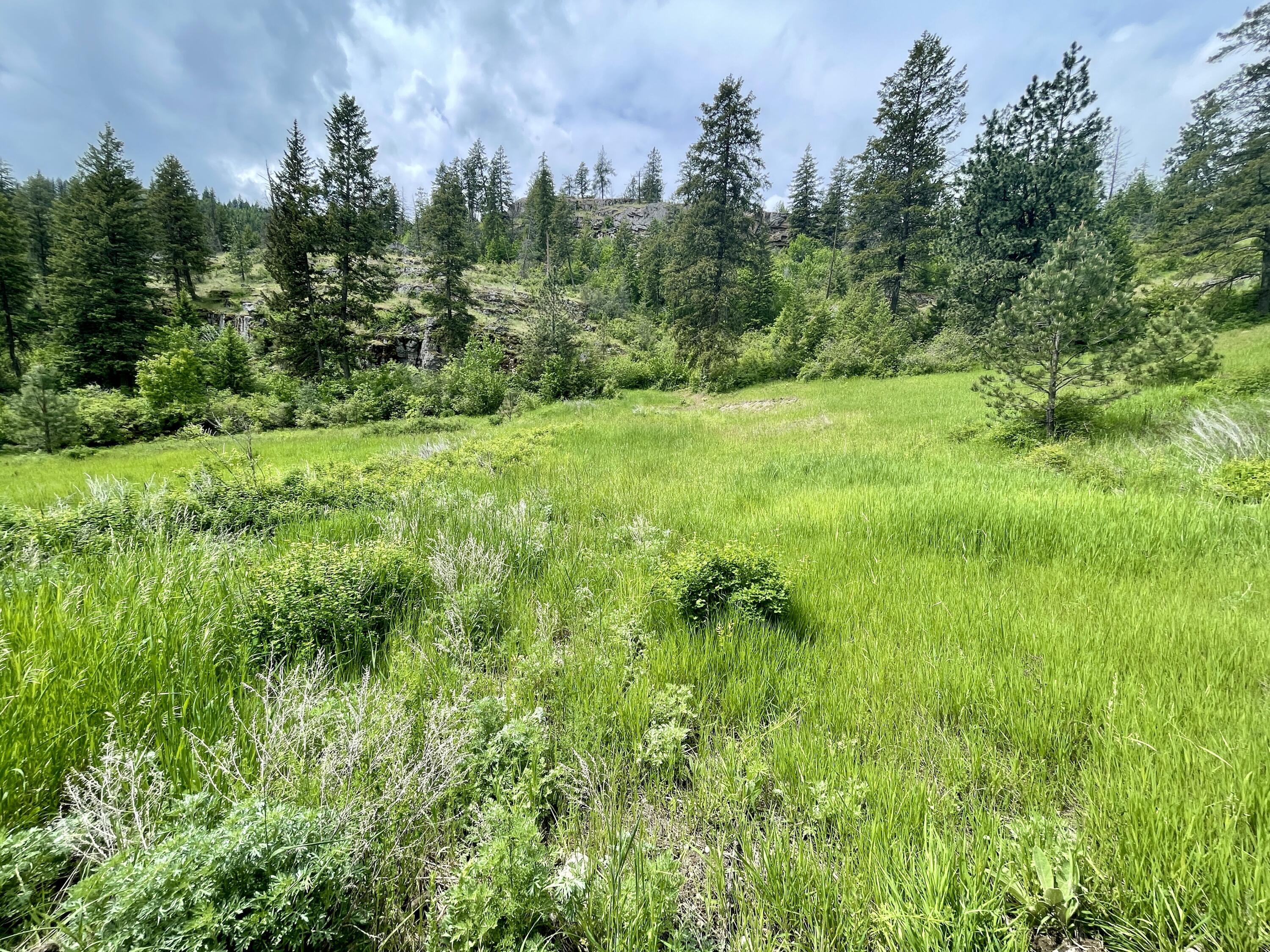 Property Photo: 842 Lot 5 Valley-Westside Rd WA 99114