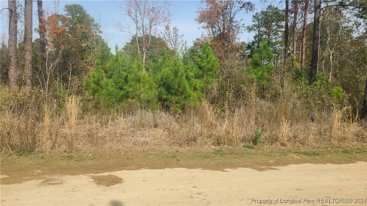 Property Photo:  58 & 59 Lennondale Boulevard  NC 28337 