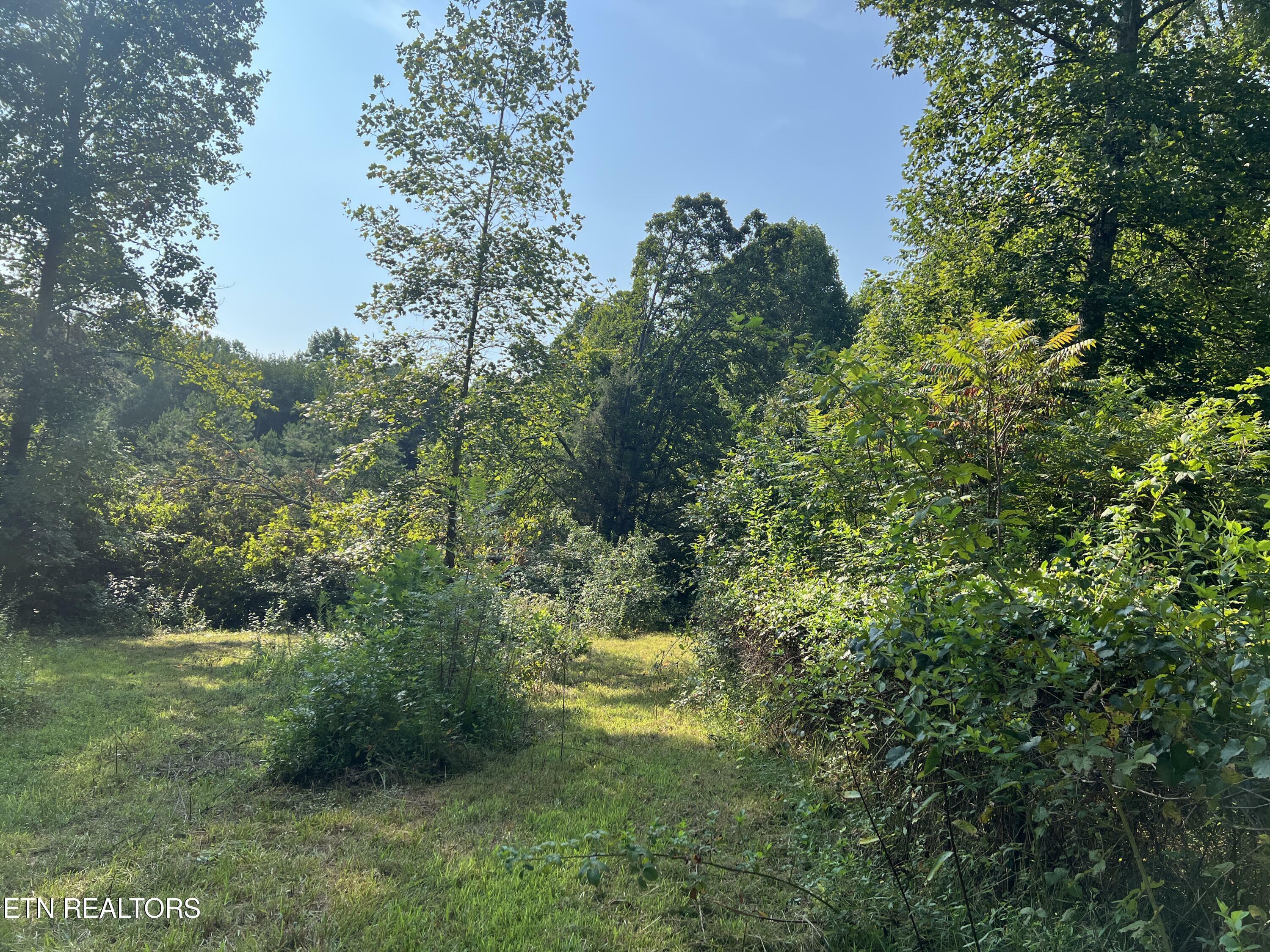 Property Photo:  926 Gallaher Rd  TN 37763 