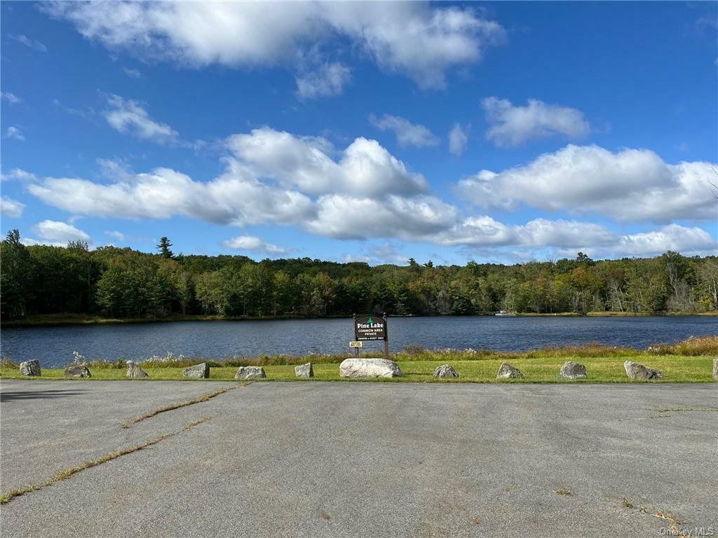 Property Photo:  Lot 21 Pine Lake Drive  NY 12790 