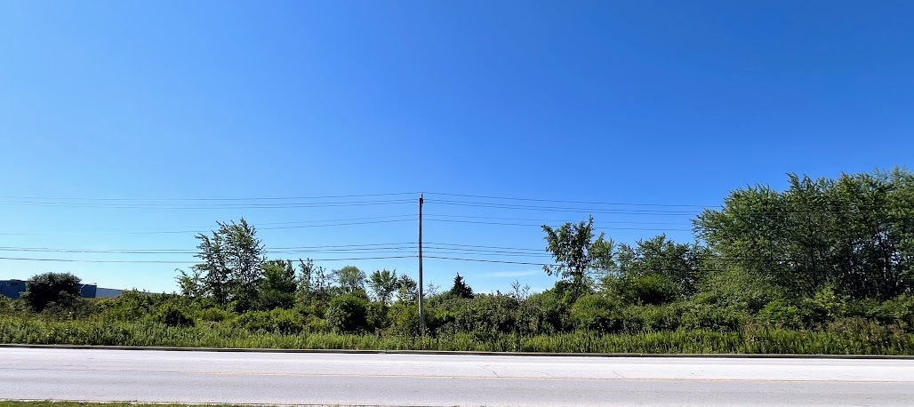 Property Photo:  Lot 1 W Stuenkel Road  IL 60484 