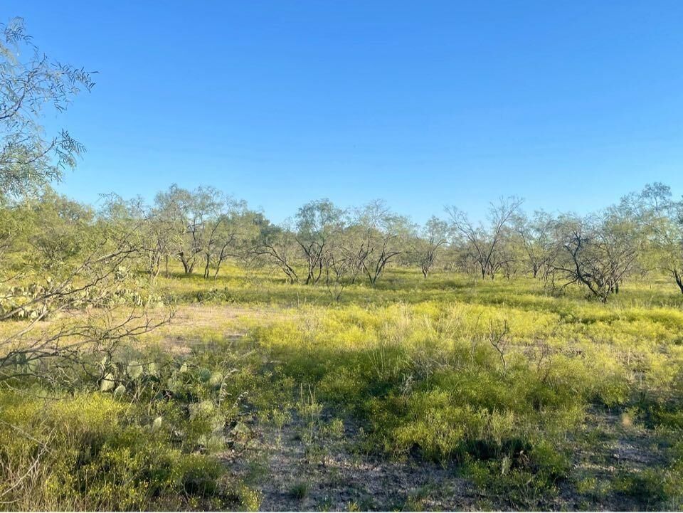 Property Photo: 0 Fm 176 TX 76837
