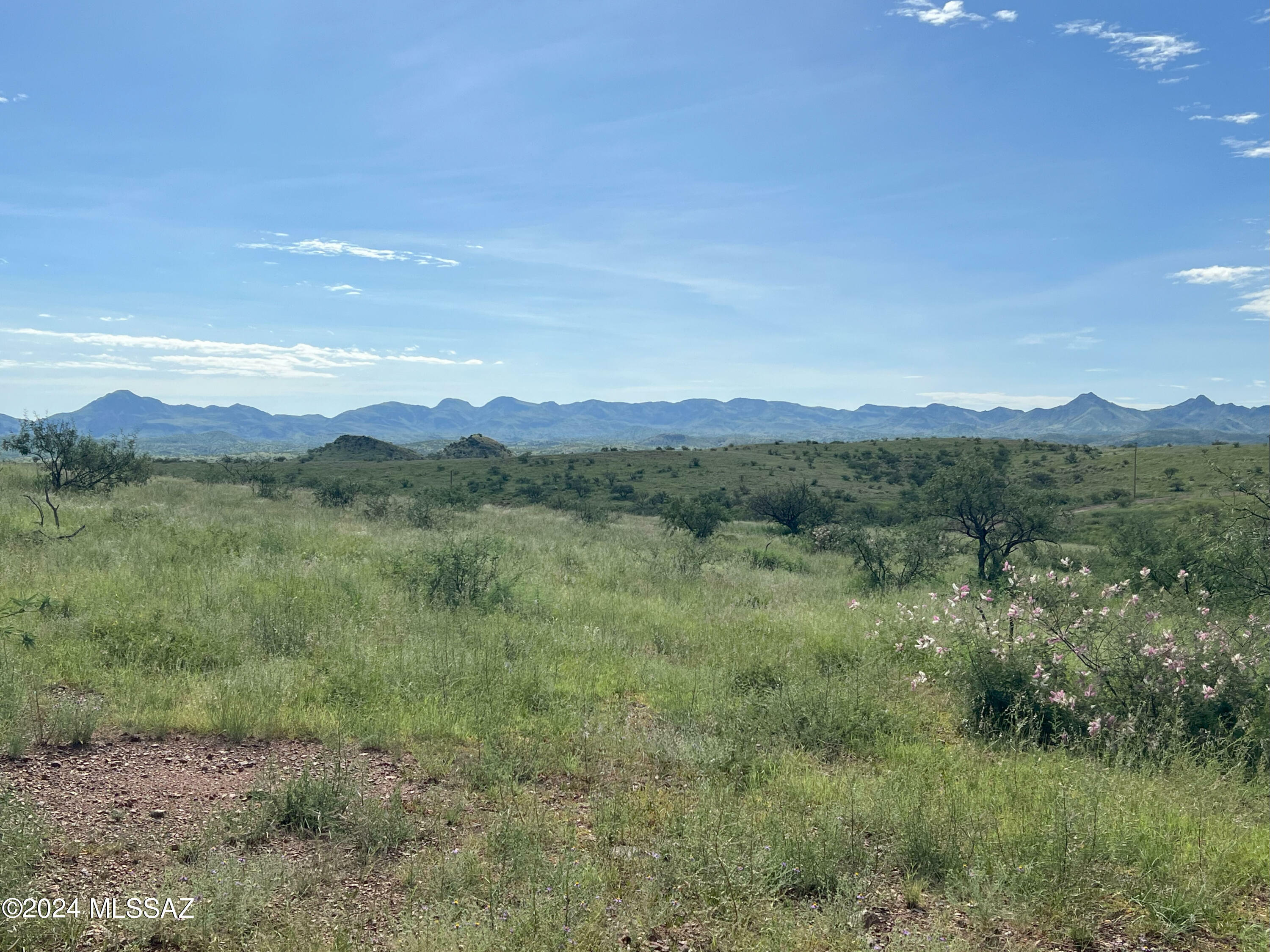 Property Photo:  13910 W Jalisco Road  AZ 85601 