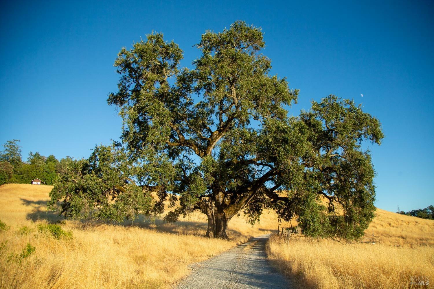 Property Photo:  29810 River Road  CA 95425 