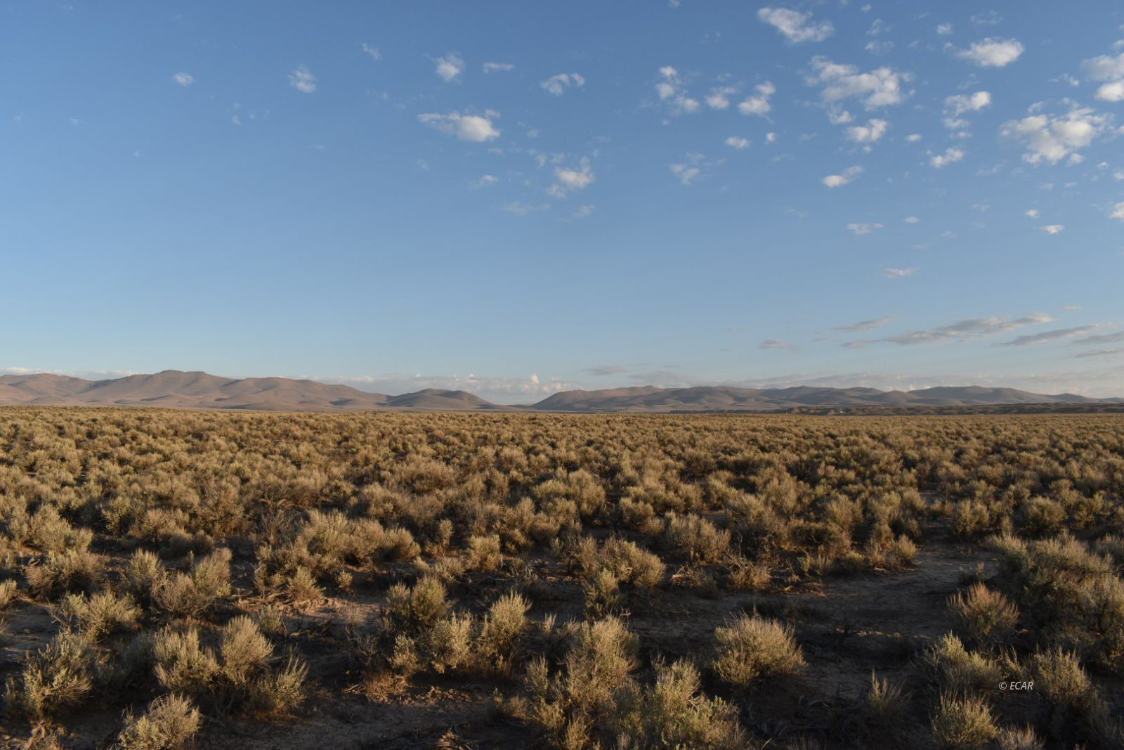 Property Photo: Sec 31 Twp 37N Rge 57E Mdb&M Nv NV 89801