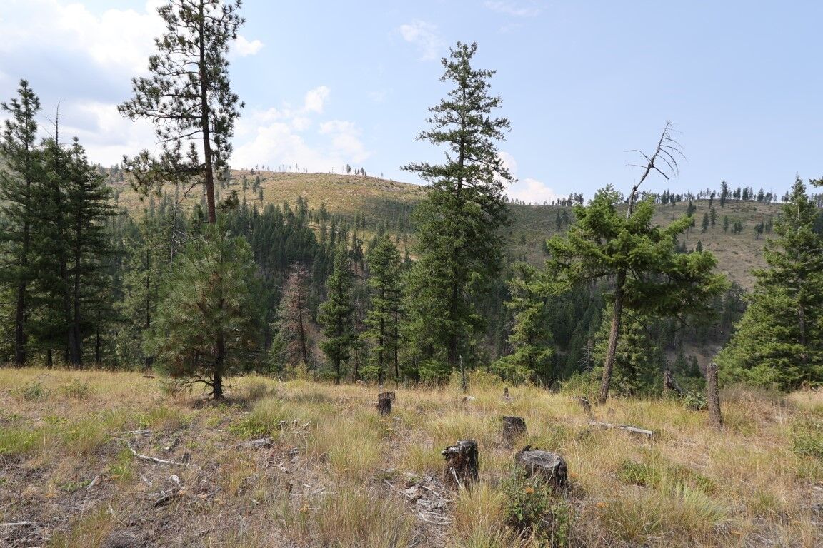 Property Photo: Nhn Tract 1C E Fork Combest Creek Road MT 59859