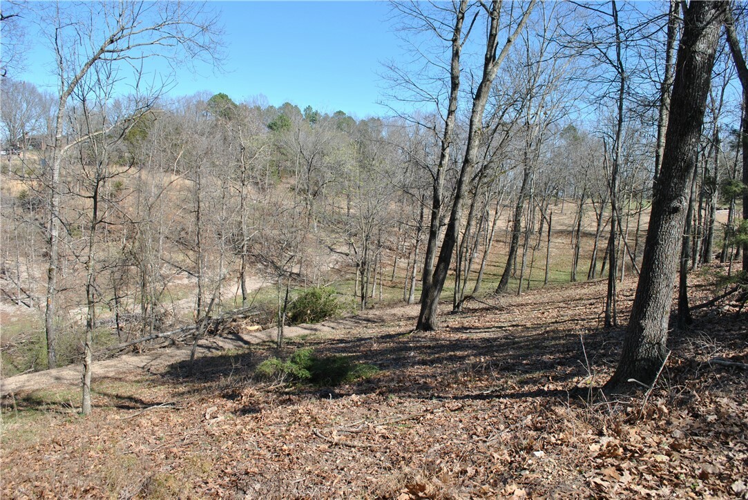 Property Photo:  Lot 105 E Robin Road  AR 72756 