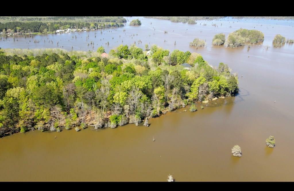 Property Photo:  N A Lot  4 -  Sawdust Ln  GA 31735 