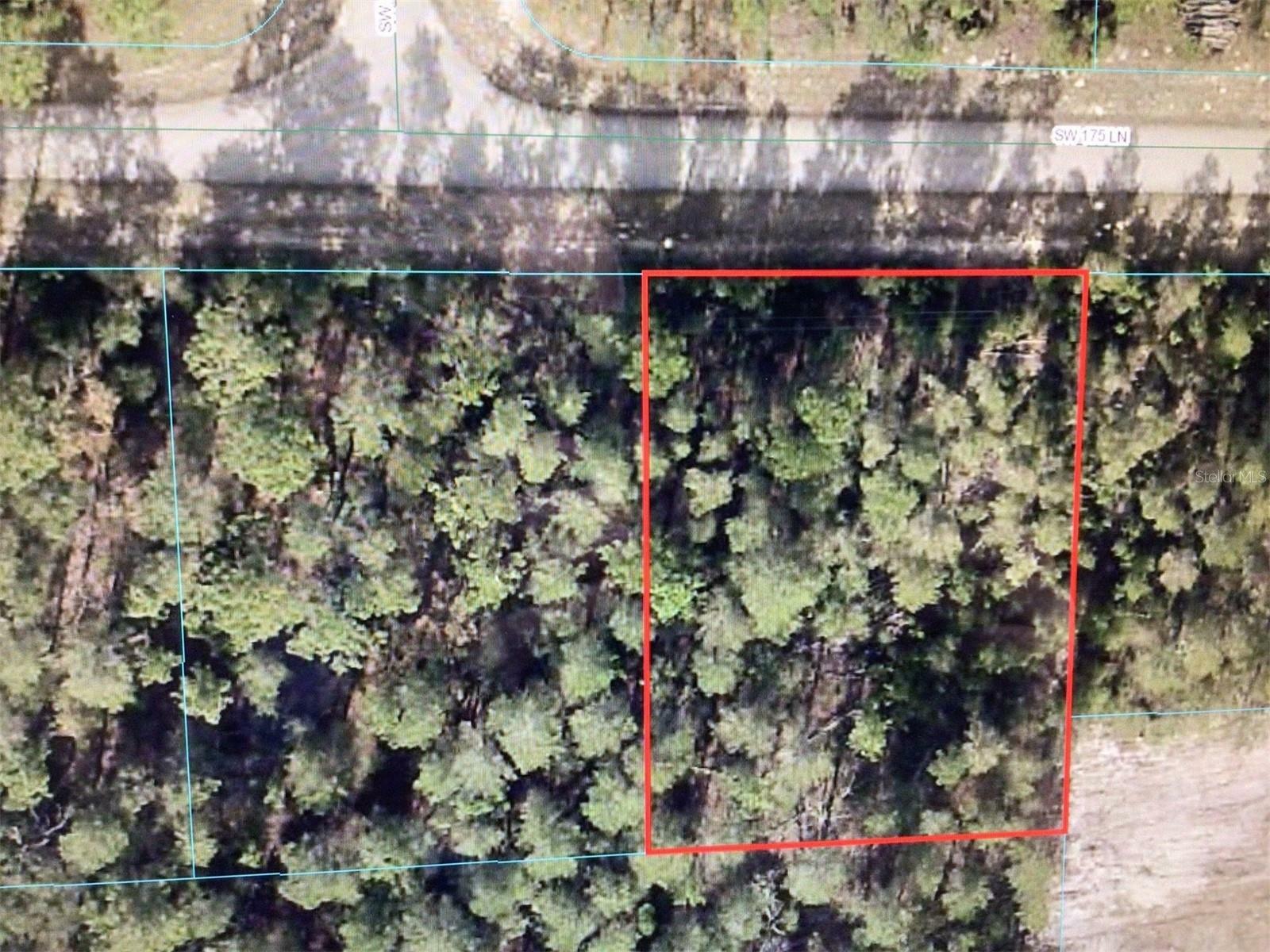 Property Photo:  0 SW 175 Lane  FL 34473 