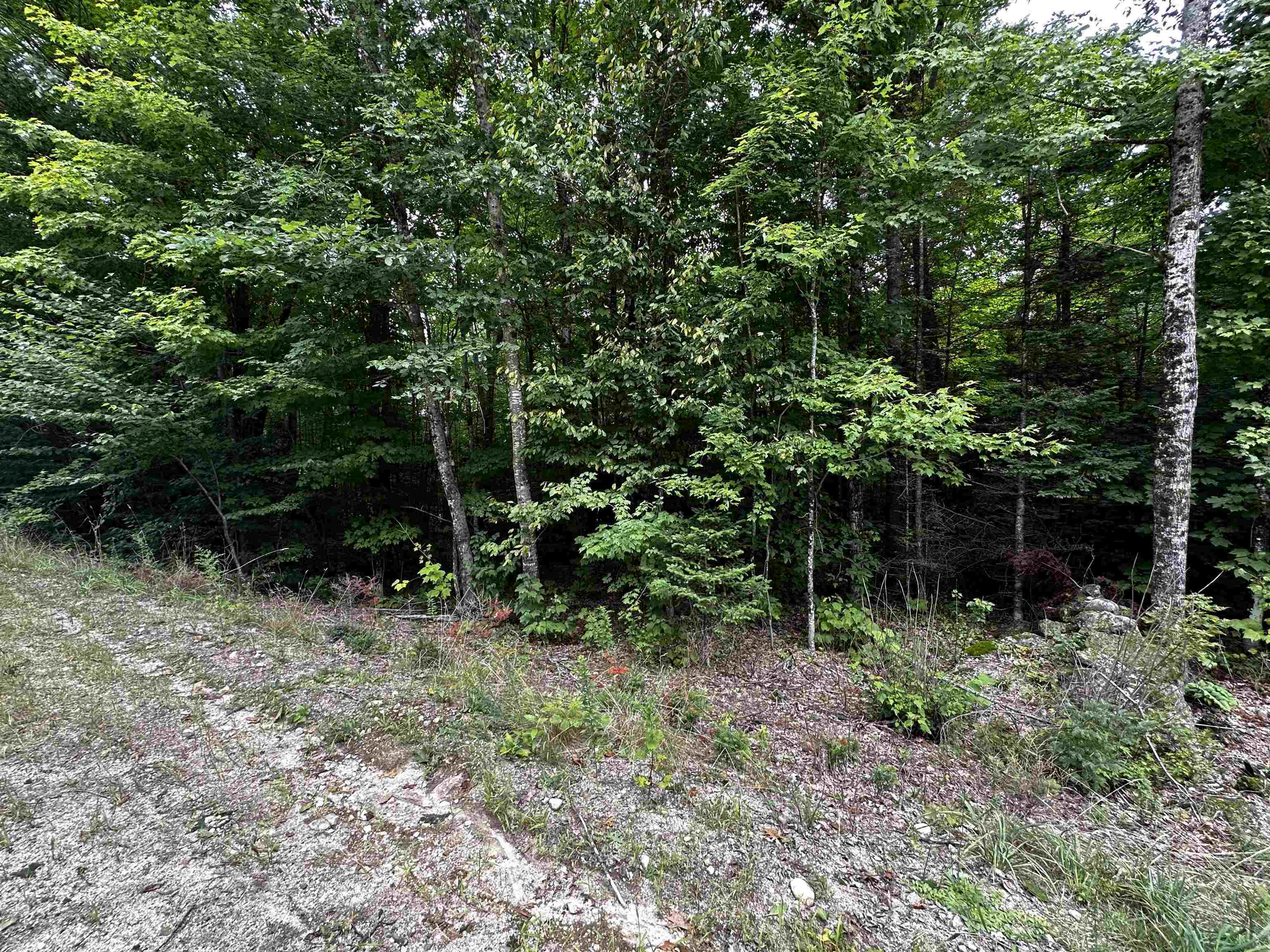 Property Photo:  62 Patterson Road  NH 03287 