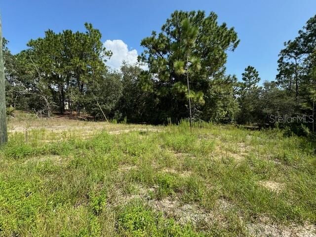 Property Photo: 11349 N Zeus Point FL 34433