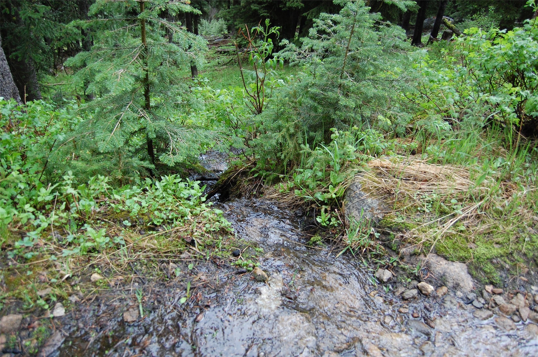 Property Photo: Tbd Daniel Sweeney Lode MT 59858