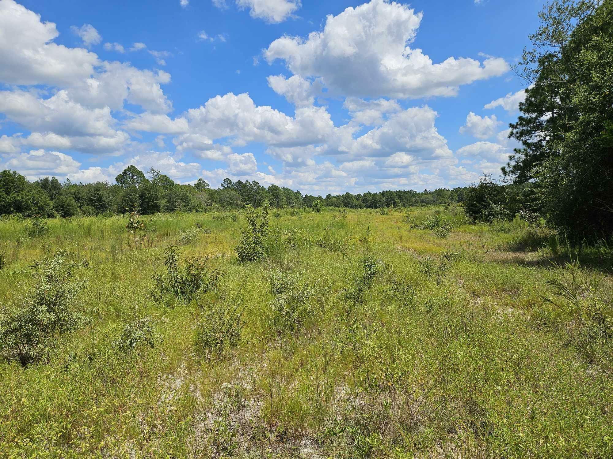 Property Photo:  01 Wire Road  SC 29805 