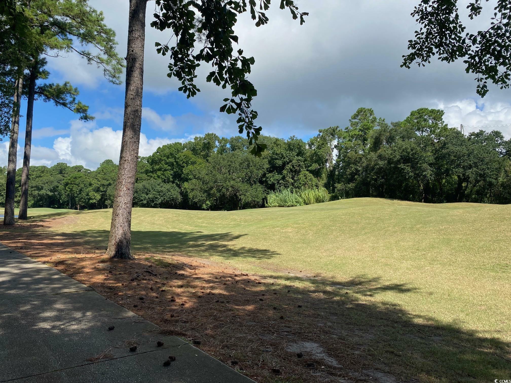 Property Photo:  Lot 22 Grey Fox Loop  SC 29585 