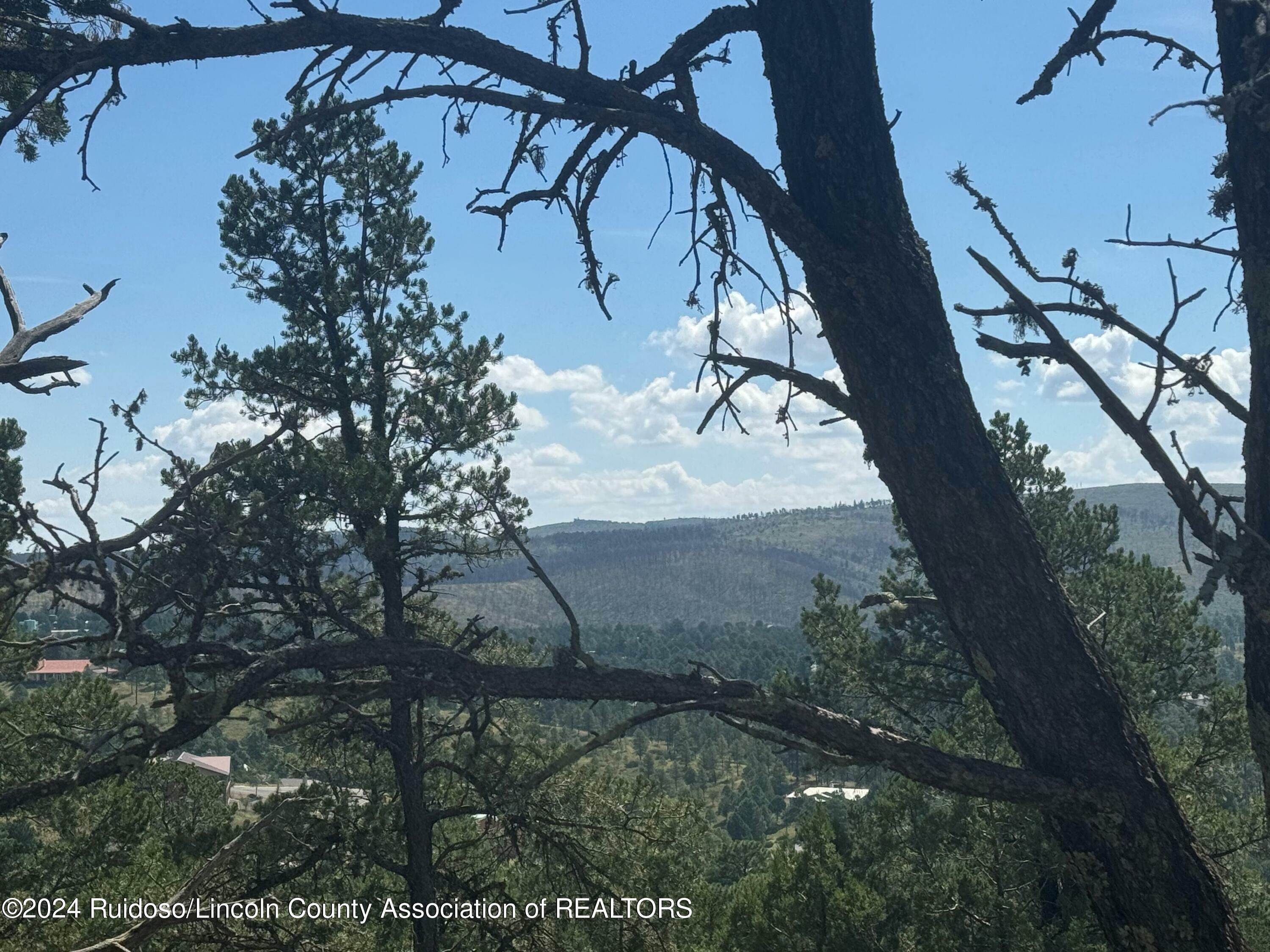 208 Valley View Drive E  Ruidoso NM 88345 photo