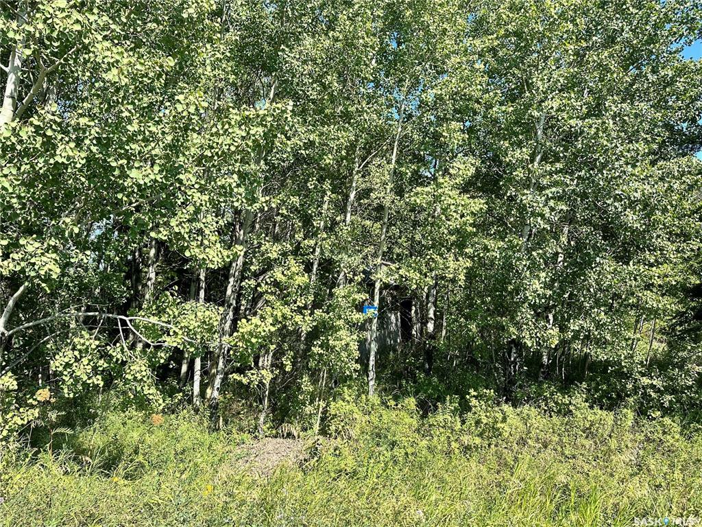 Property Photo:  137 Parkview Road  SK S0K 2X0 