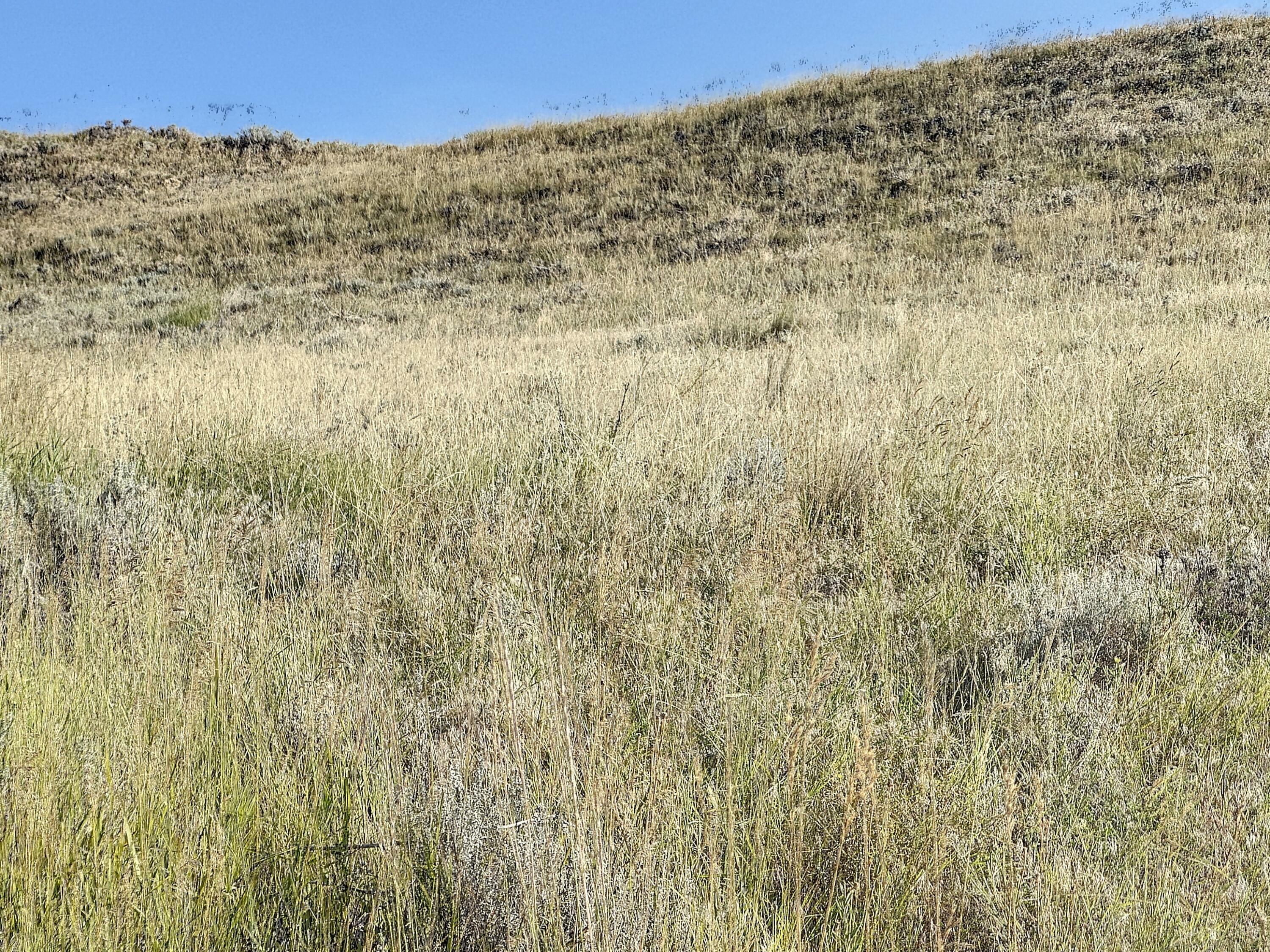 Property Photo:  Tbd Eagle Summit  WY 82834 