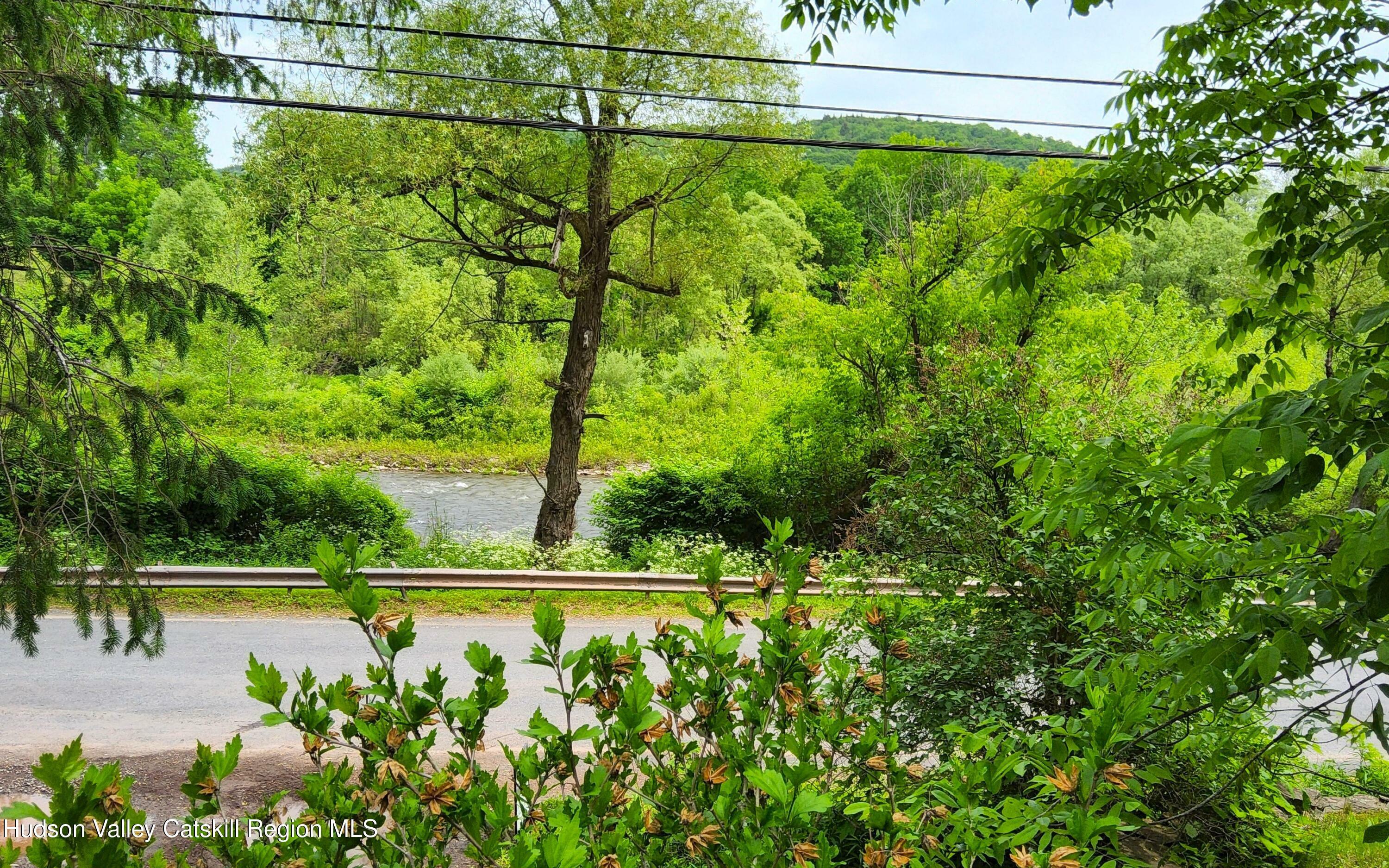 Property Photo: 284 Dry Brook NY 12406