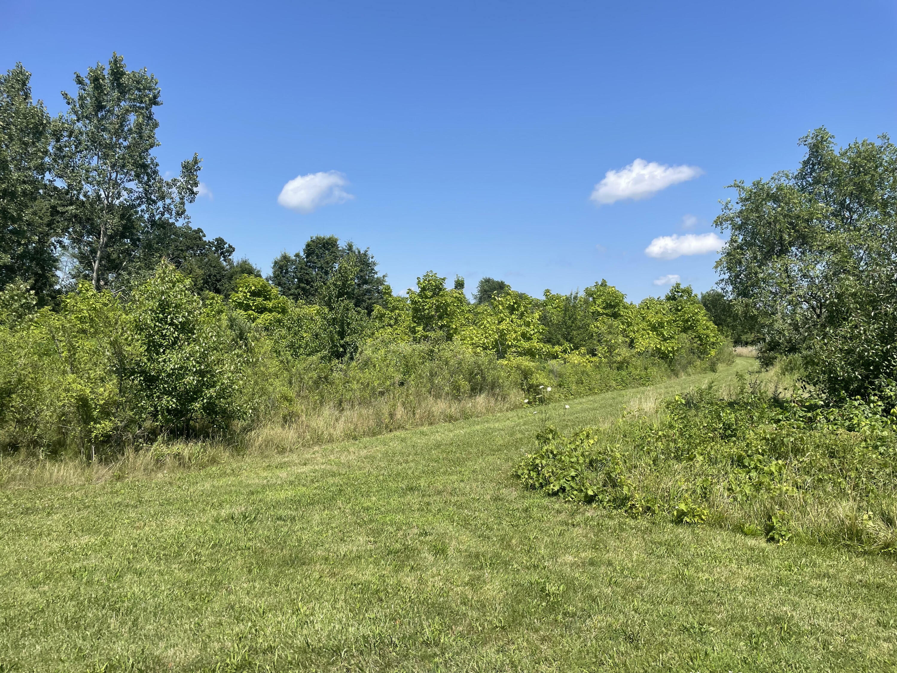 Property Photo:  0 V/L Hills Road  MI 49101 