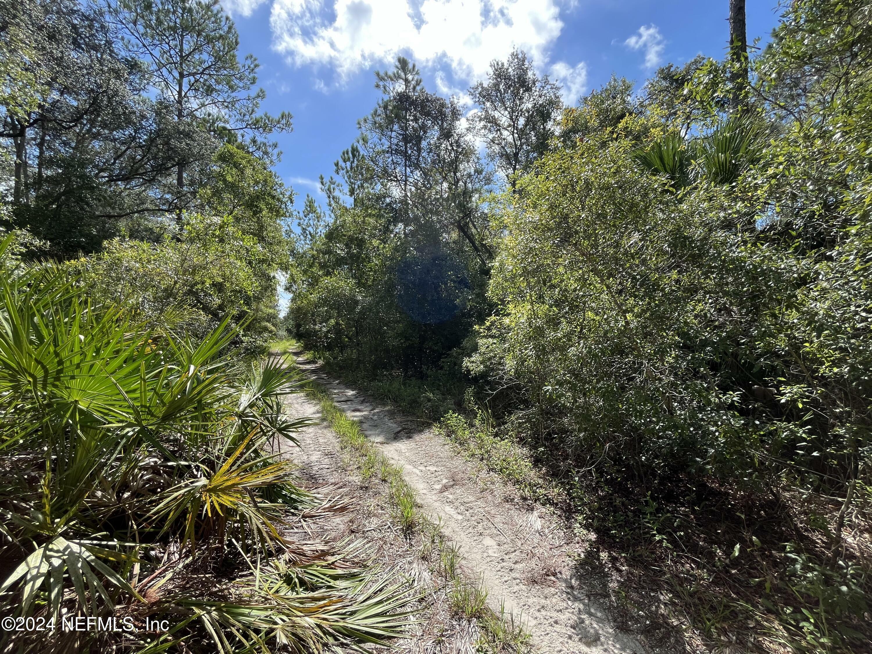 Property Photo:  252 Brewster Street  FL 32189 