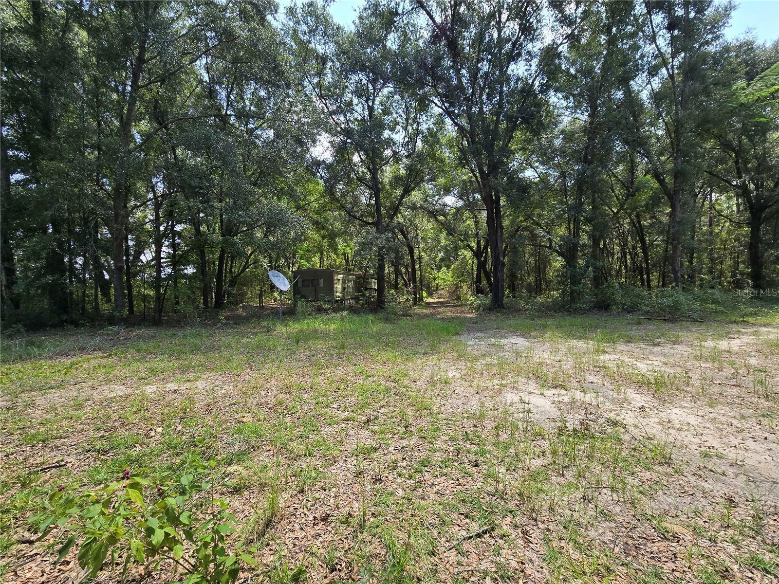 27727 SW 120 Lane  Newberry FL 32669 photo