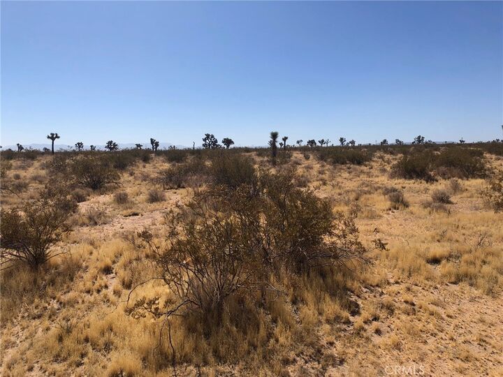 Property Photo: 0 Holly Road CA 92301