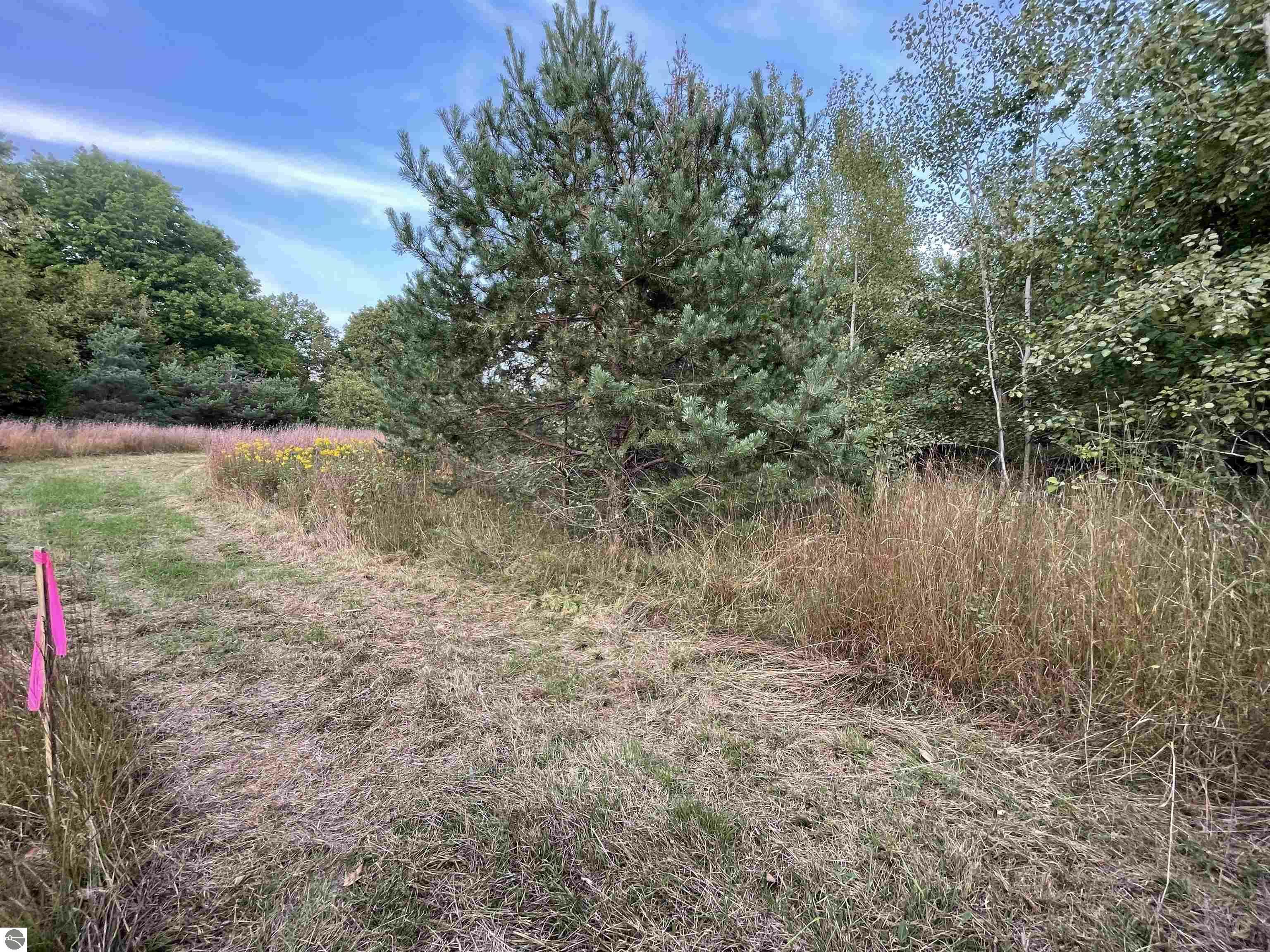 Property Photo:  V/L Parcel H E 18 1/2 Road  MI 49663-8553 