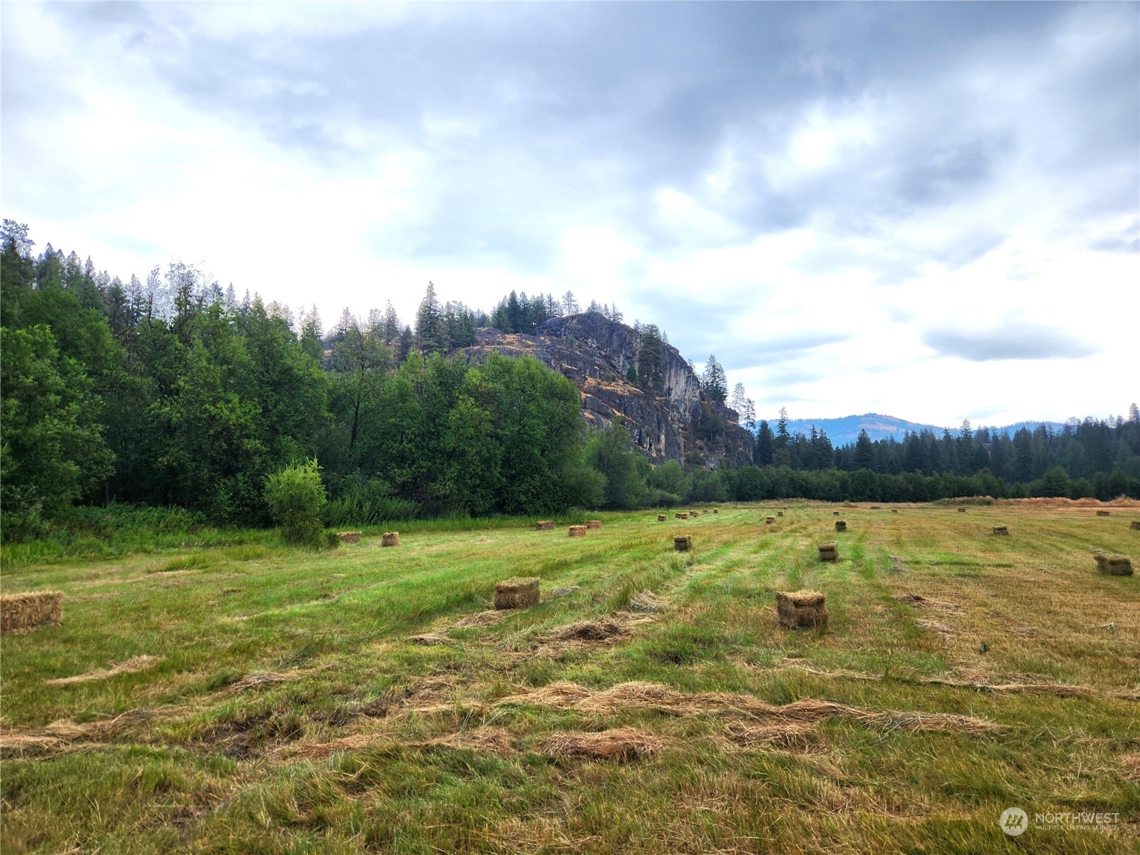 Property Photo:  1041 Aeneas Valley Road  WA 98855 