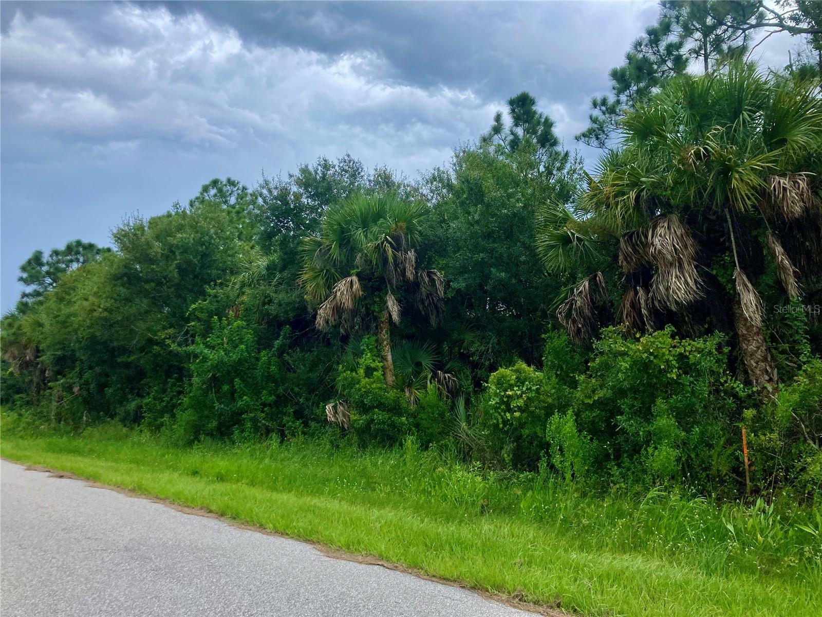 Property Photo: 26373 &Amp 26377 Deer Road FL 33955