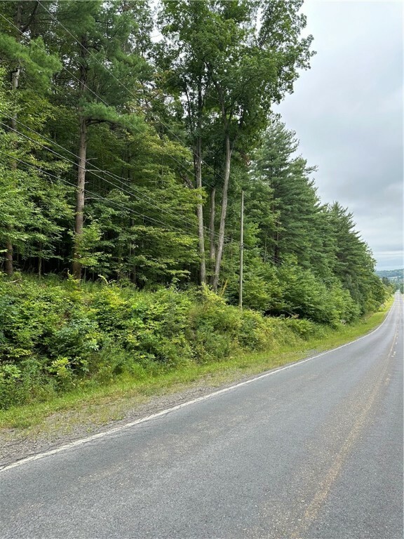 Property Photo:  129 Hornbrook Road  NY 14850 