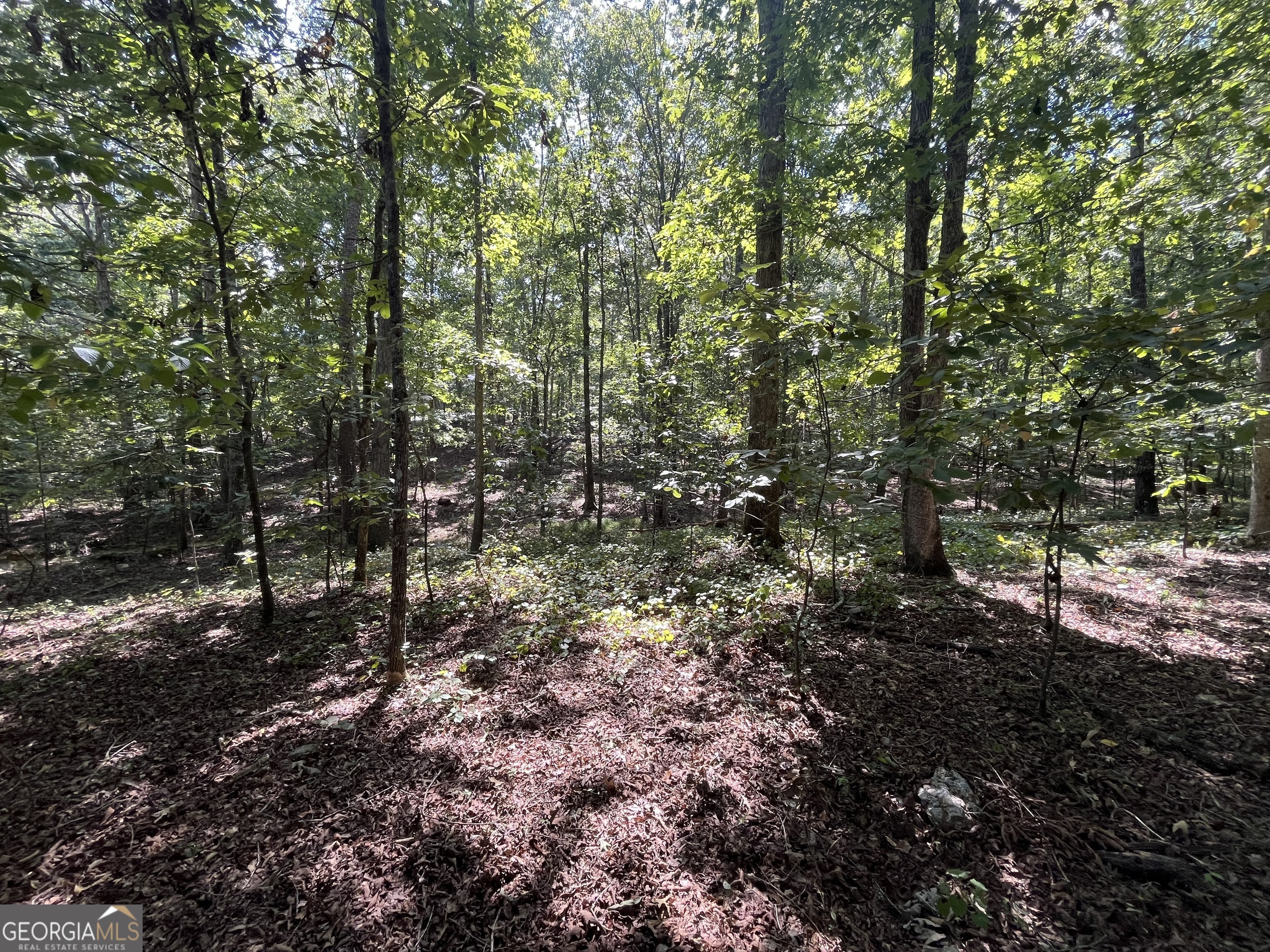 Property Photo:  0 Rustic Ridge Road  GA 30161 