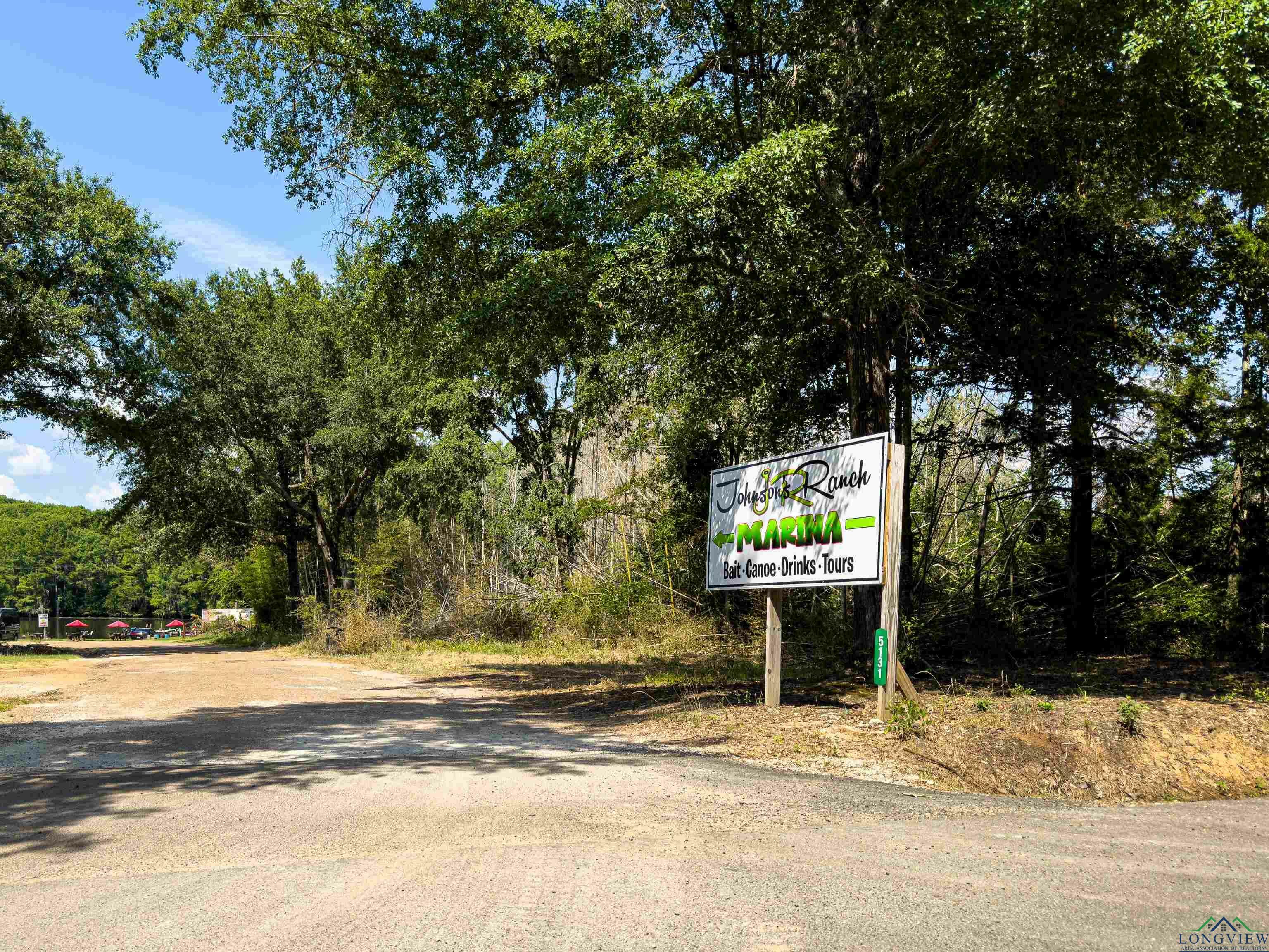 Property Photo:  Tbd Fm 2198 Lot 1  TX 75661 