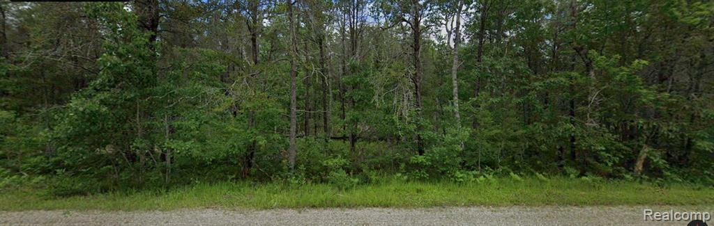 Property Photo: 14250 Town Hall(Lot A &Amp B) MI 49759