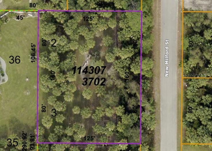 Property Photo:  New Milford Lots 2 &Amp 3 Street  FL 34288 