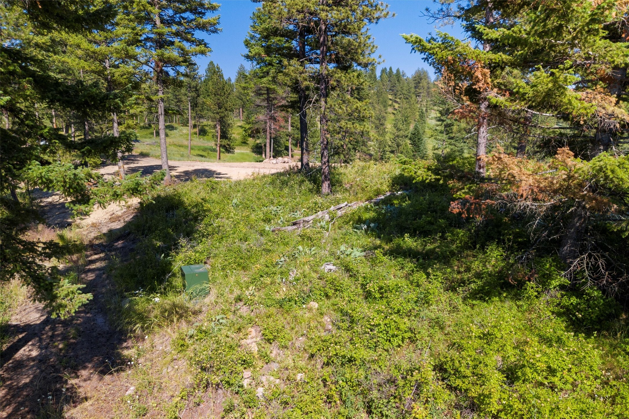 Property Photo:  3485 Ridge View Road Parcel 2B  MT 59808 