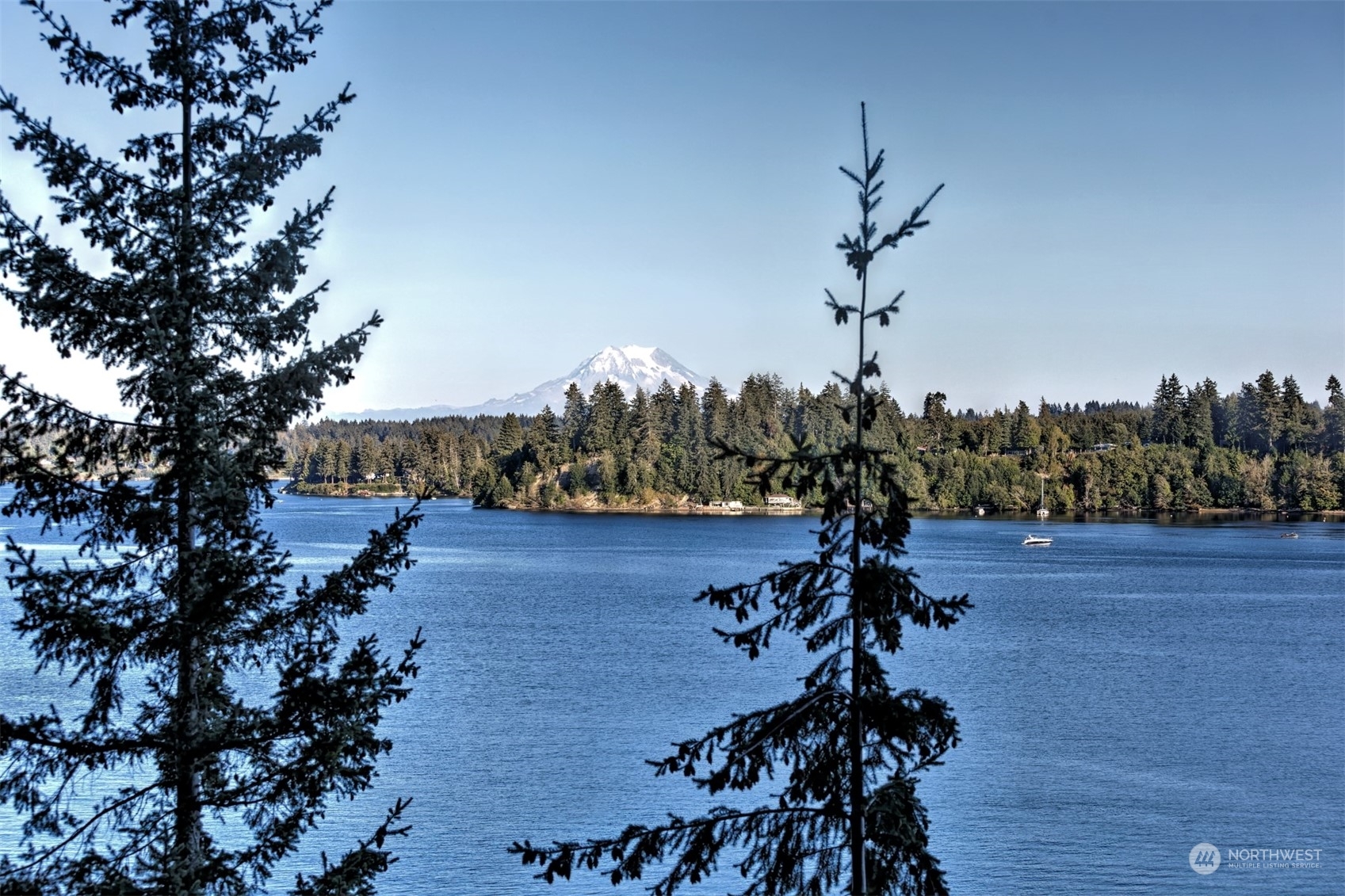 Property Photo:  111 E Dana Drive  WA 98584 