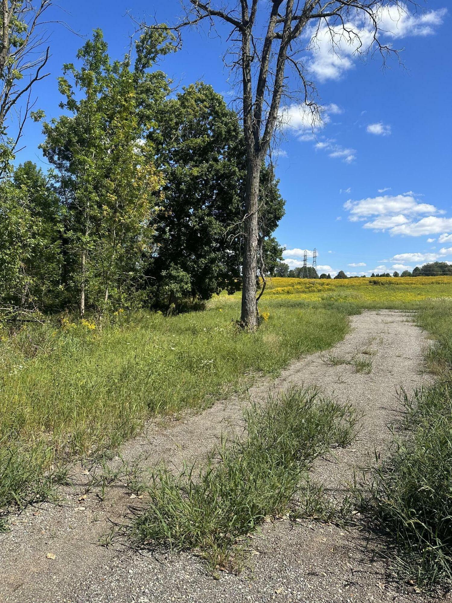 Property Photo:  0 NW 8th Avenue  MI 49534 