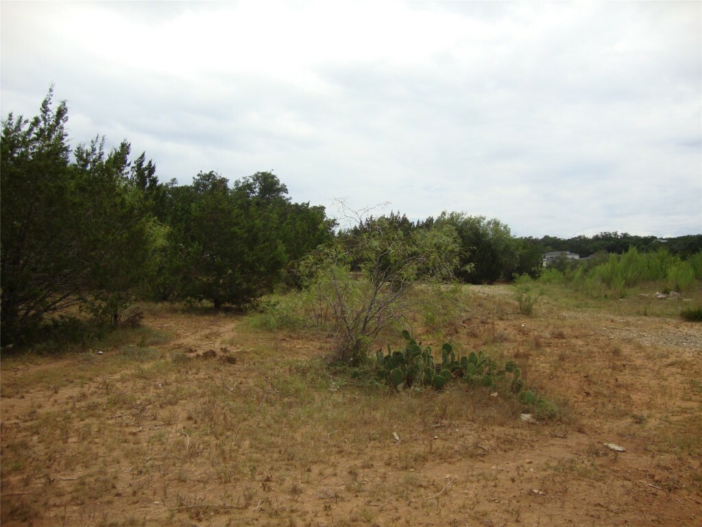 Property Photo:  21819 Ticonderoga Avenue  TX 78645 