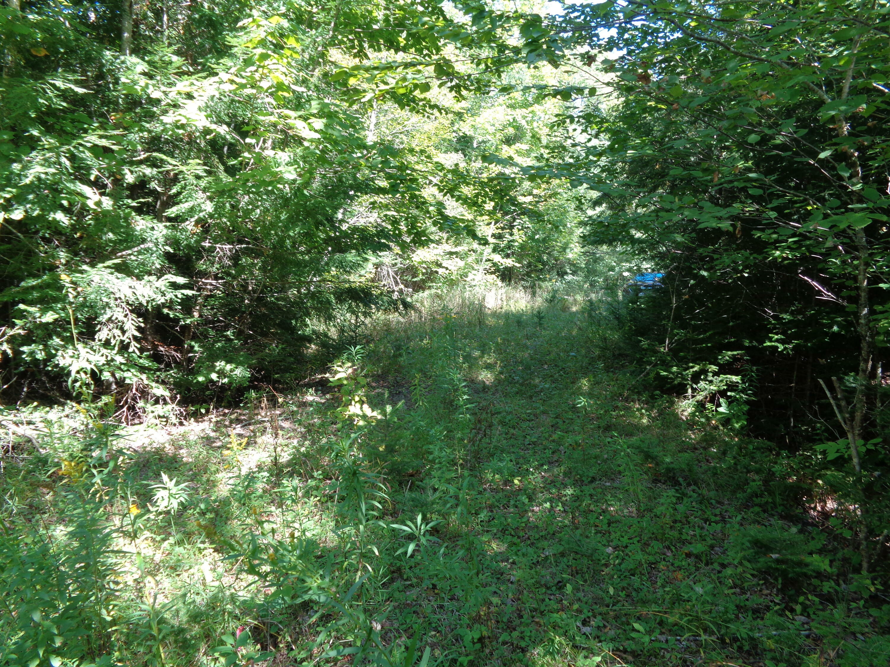 Property Photo:  Lot 5 Winkumpaugh Crossing  ME 04472 