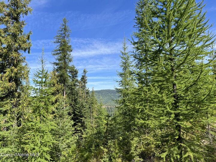 Property Photo:  2211 Alpine Dr  ID 83830 