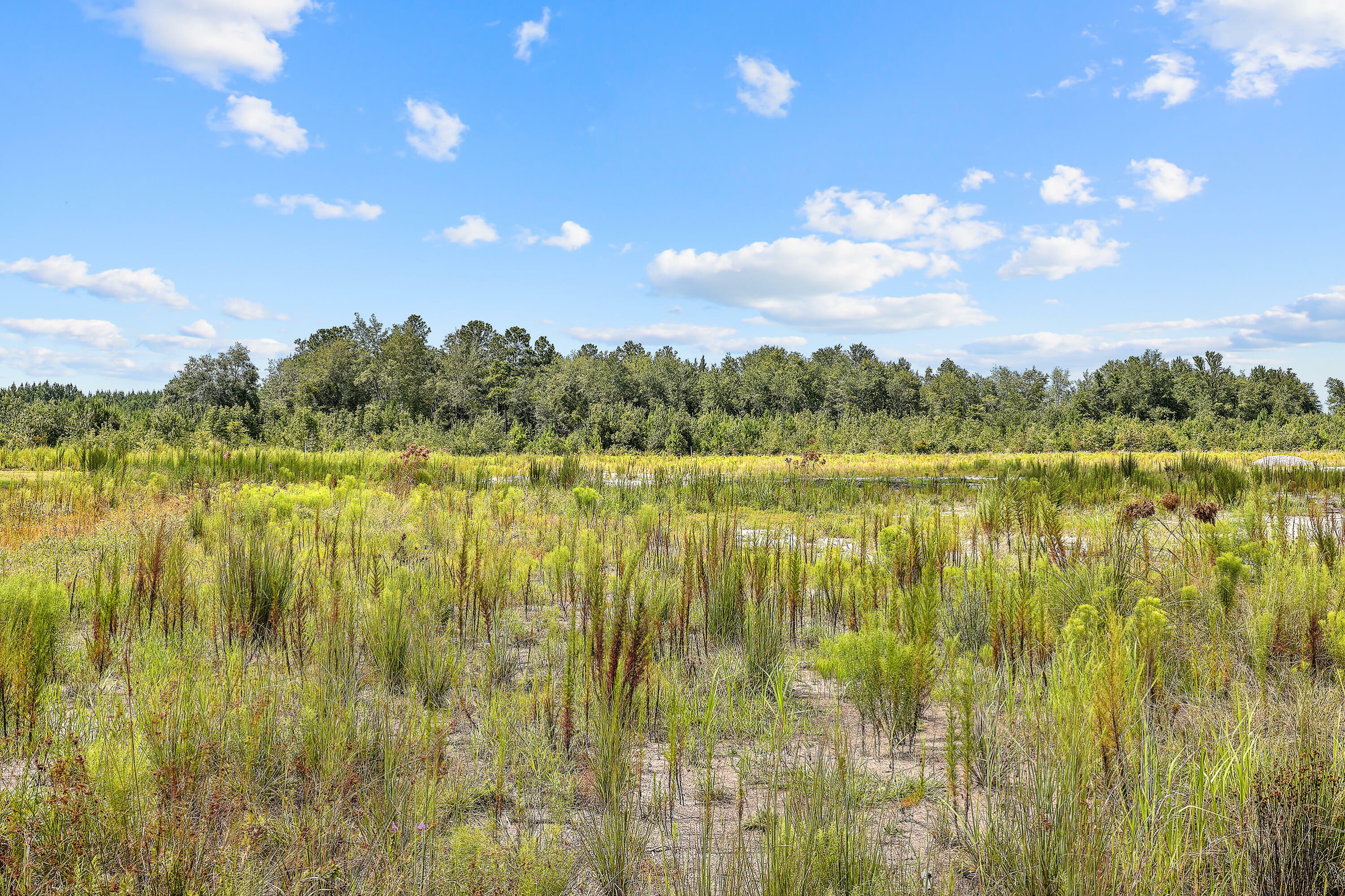 Property Photo:  0 Mudville Road  SC 29436 