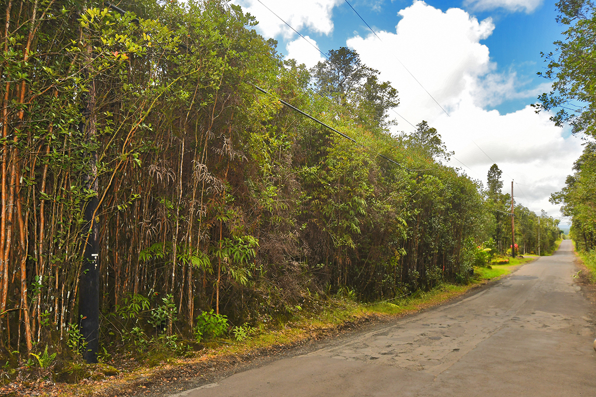 Property Photo:  Hibiscus St  HI 96771 