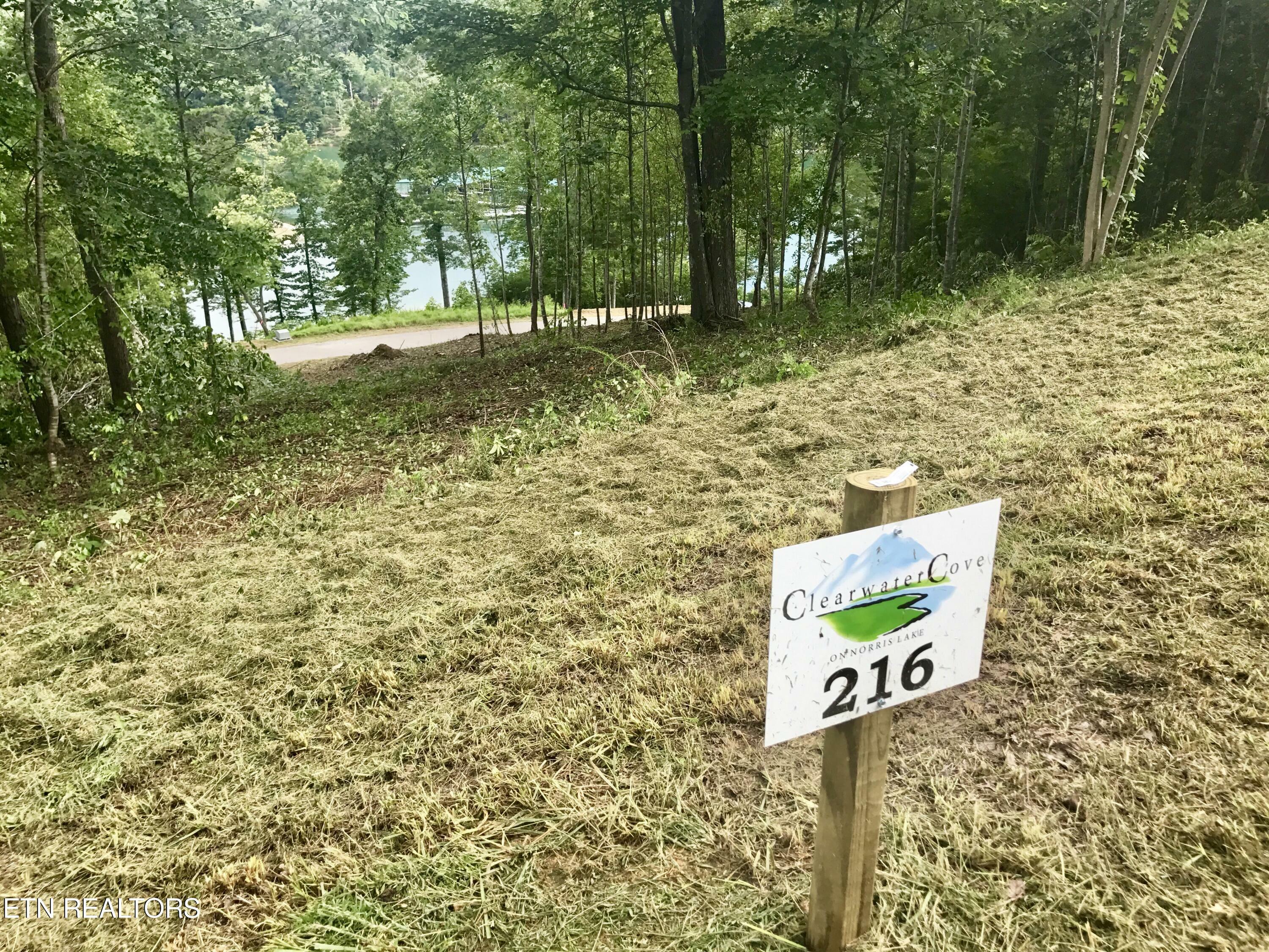 Property Photo:  Tbd Suncrest Cove Lot 216  TN 37766 