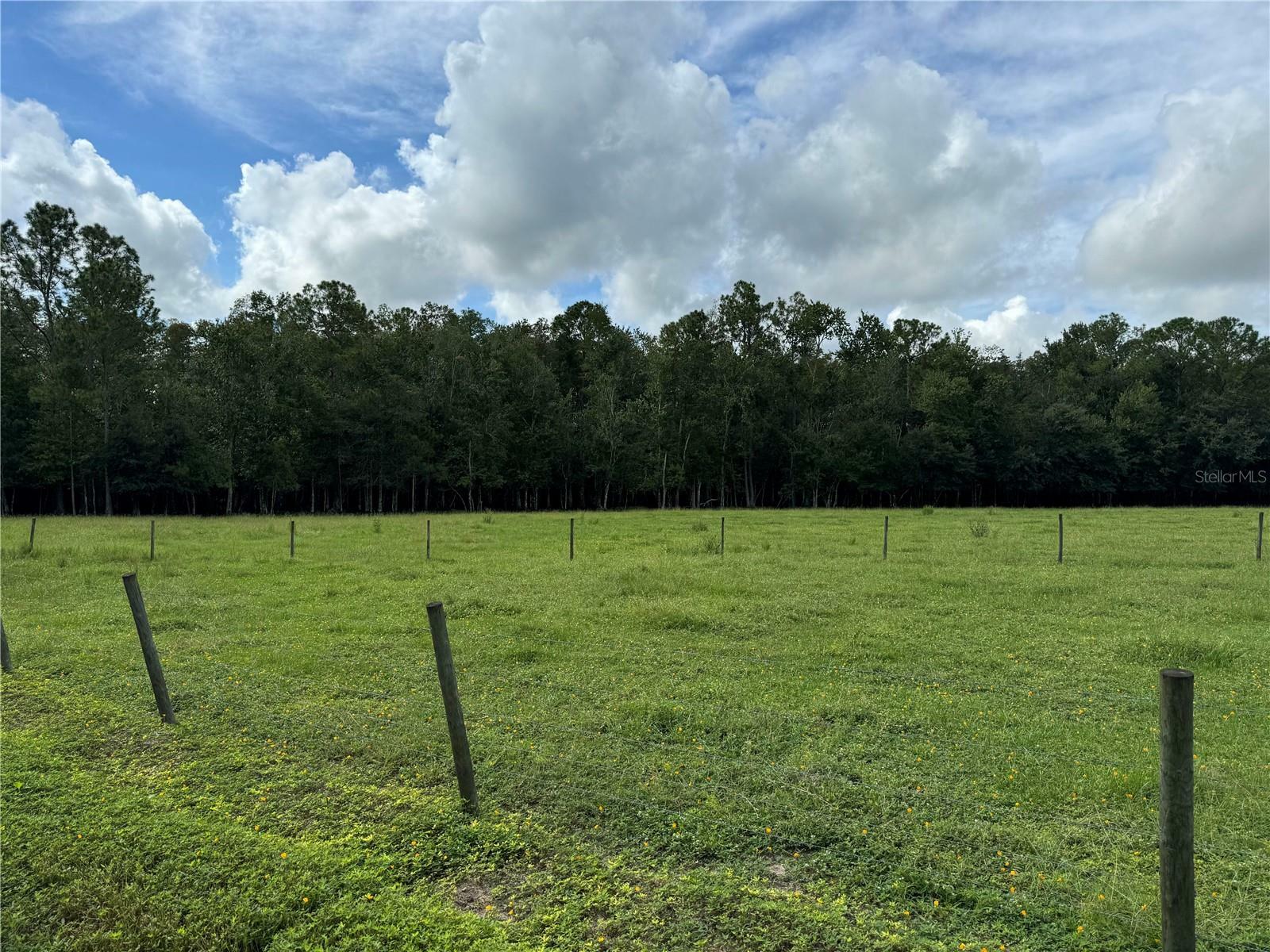 Property Photo:  Green Swamp Road  FL 34714 