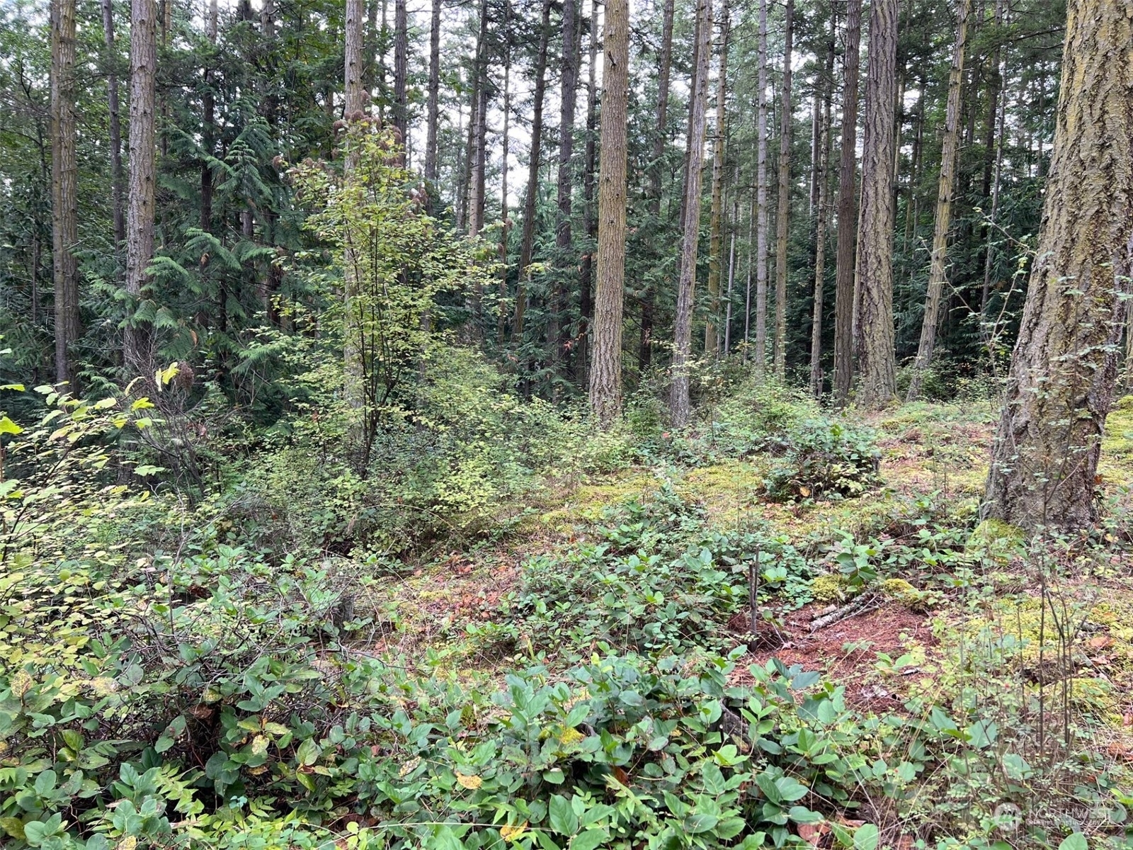 Property Photo:  149 Center Island  WA 98221 