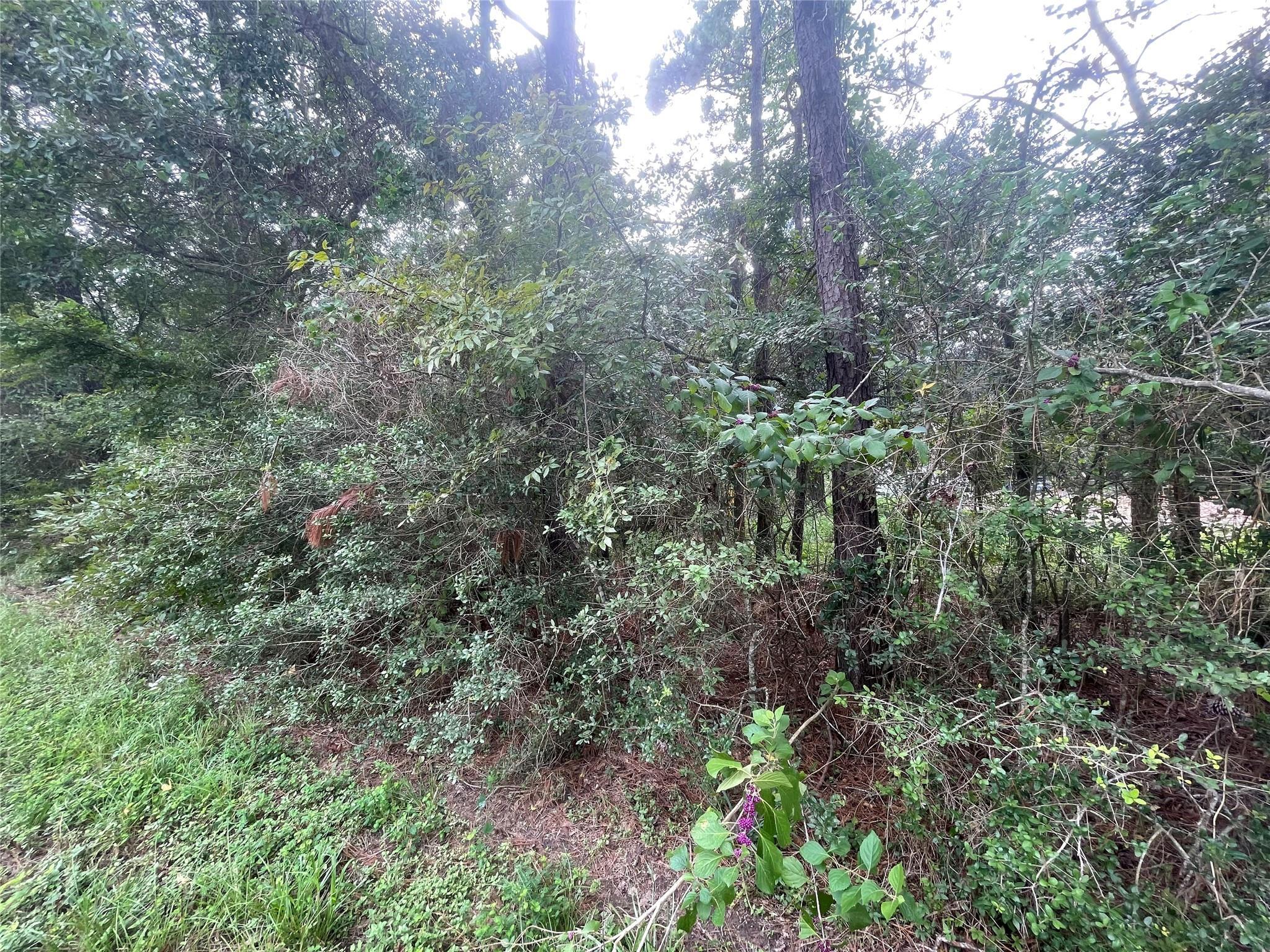Property Photo:  3440 Corolla Road  TX 77354 